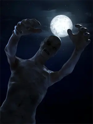 与长姐换嫁入宫后我独得圣宠，全家却慌了神叶婉容婉容免费小说完整版_最新好看小说与长姐换嫁入宫后我独得圣宠，全家却慌了神叶婉容婉容